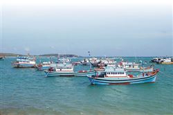 Kinh tế biển Phú Quý - Thực trạng và giải pháp