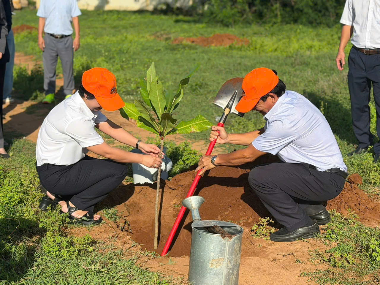 Các đại biểu tham gia hoạt động trồng cây xanh